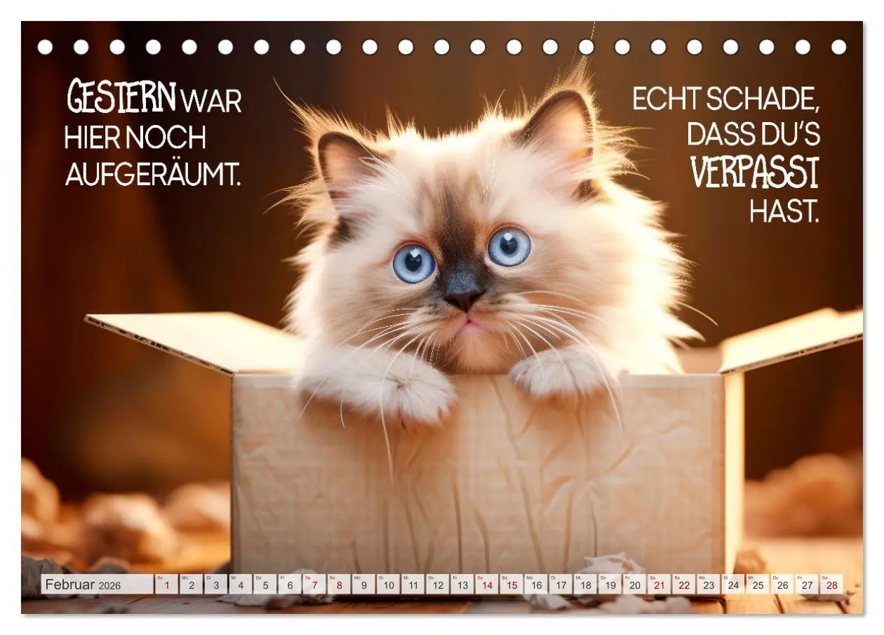 Bild: 9783457464045 | KATZEN-IRONIE Lach mal wieder (Tischkalender 2026 DIN A5 quer),...