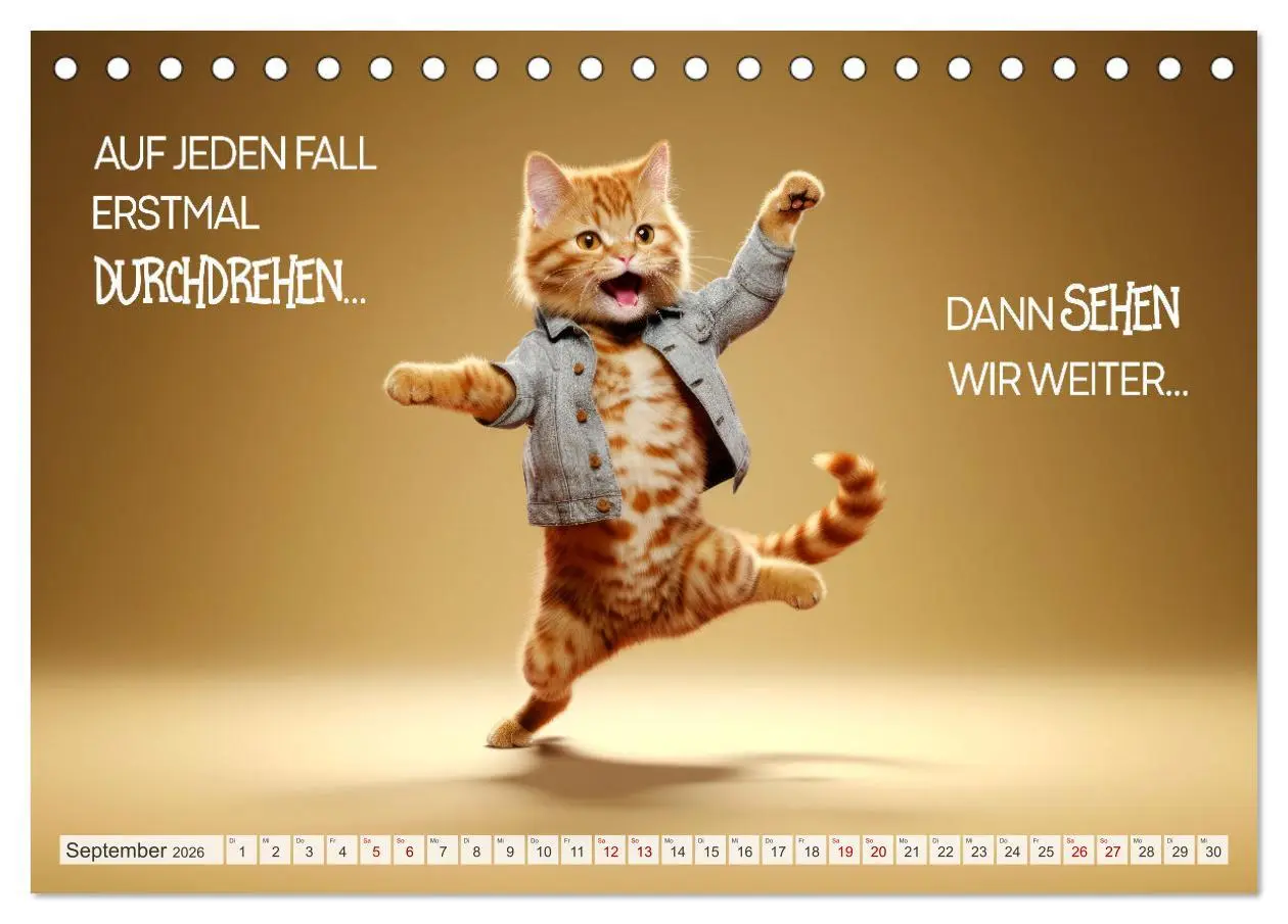 Bild: 9783457464045 | KATZEN-IRONIE Lach mal wieder (Tischkalender 2026 DIN A5 quer),...