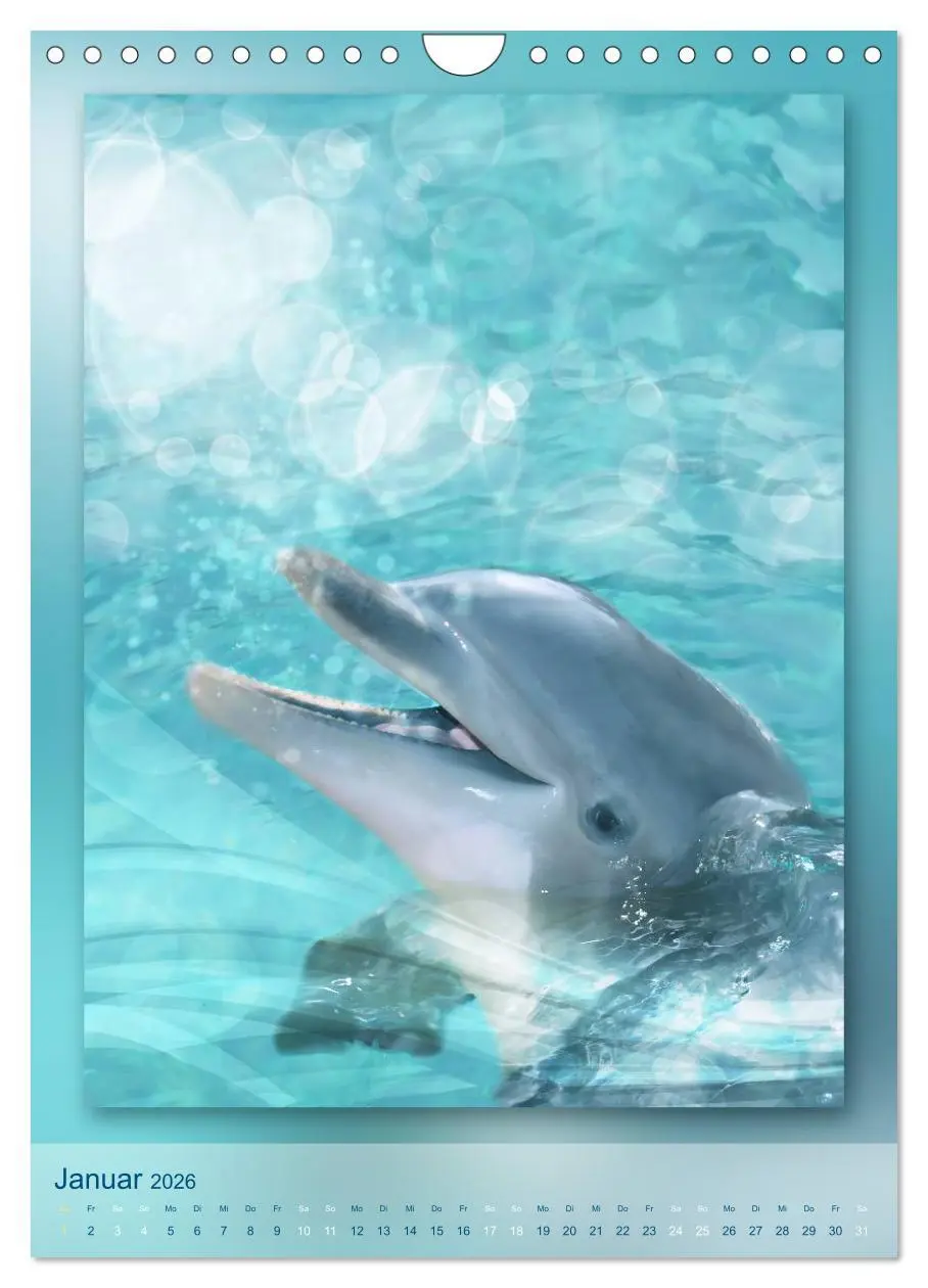 Bild: 9783516484045 | Delfine - Kalender (Wandkalender 2026 DIN A4 hoch), CALVENDO...