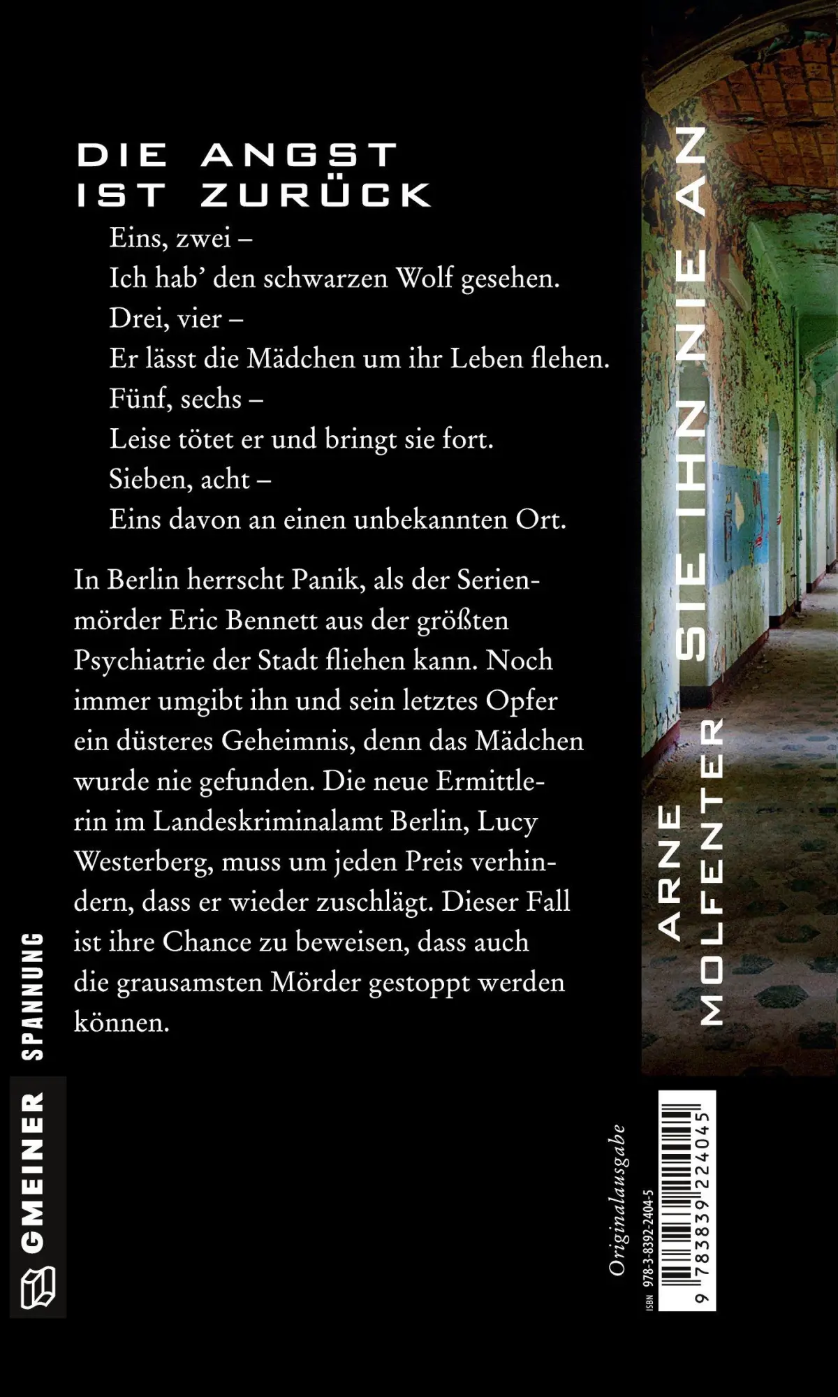 Rückseite: 9783839224045 | Sieh ihn nie an | Arne Molfenter | Taschenbuch | 251 S. | Deutsch