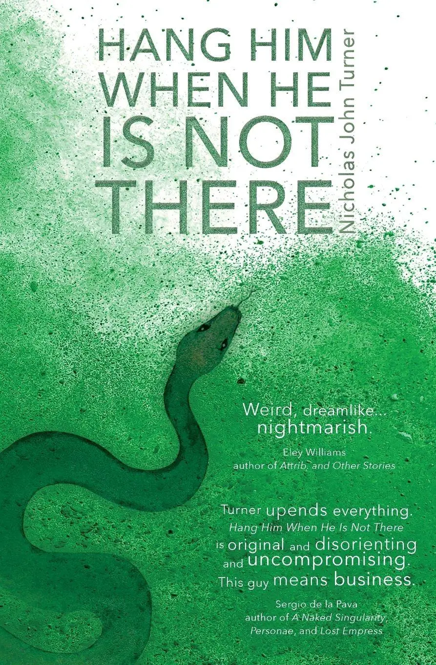 Cover: 9781999974145 | Hang Him When He Is Not There | Nicholas John Turner | Taschenbuch