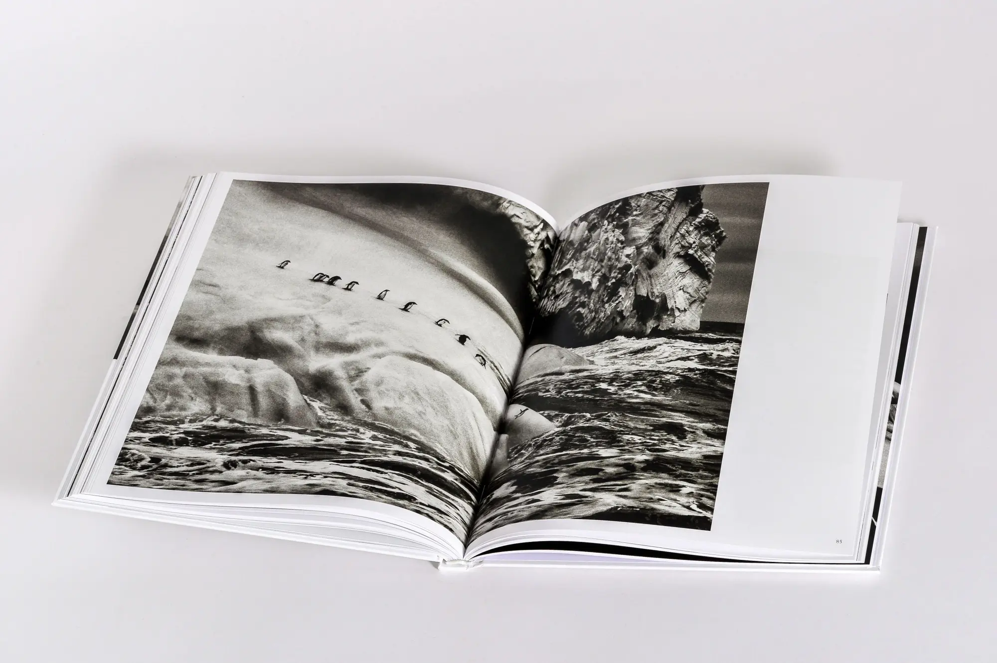 Bild: 9783791394145 | Sebastião Salgado: Gletscher | Elisa Palazzi | Buch | 128 S. | Deutsch