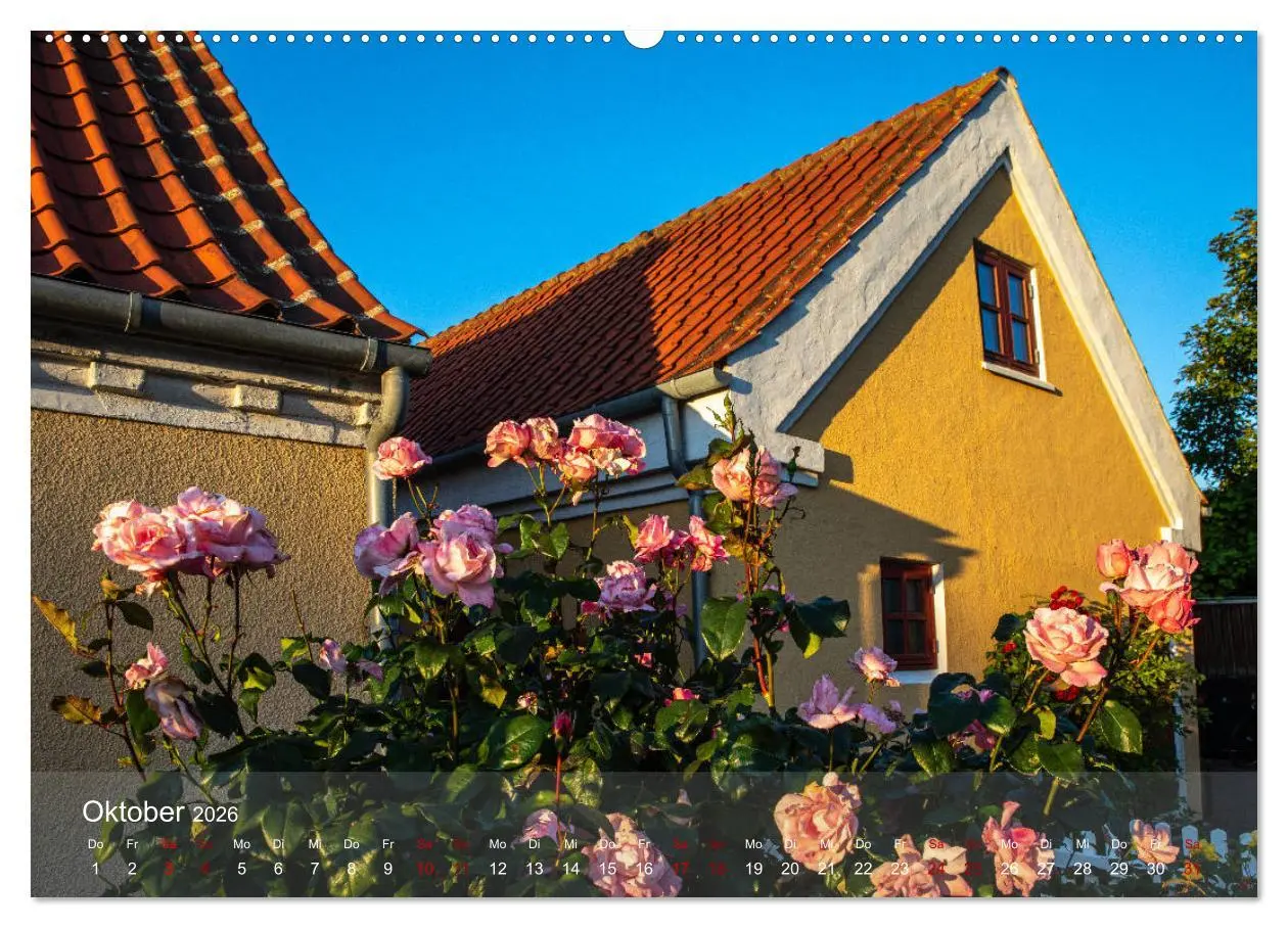 Bild: 9783457684245 | Sommer in Nordjütland (Wandkalender 2026 DIN A2 quer), CALVENDO...