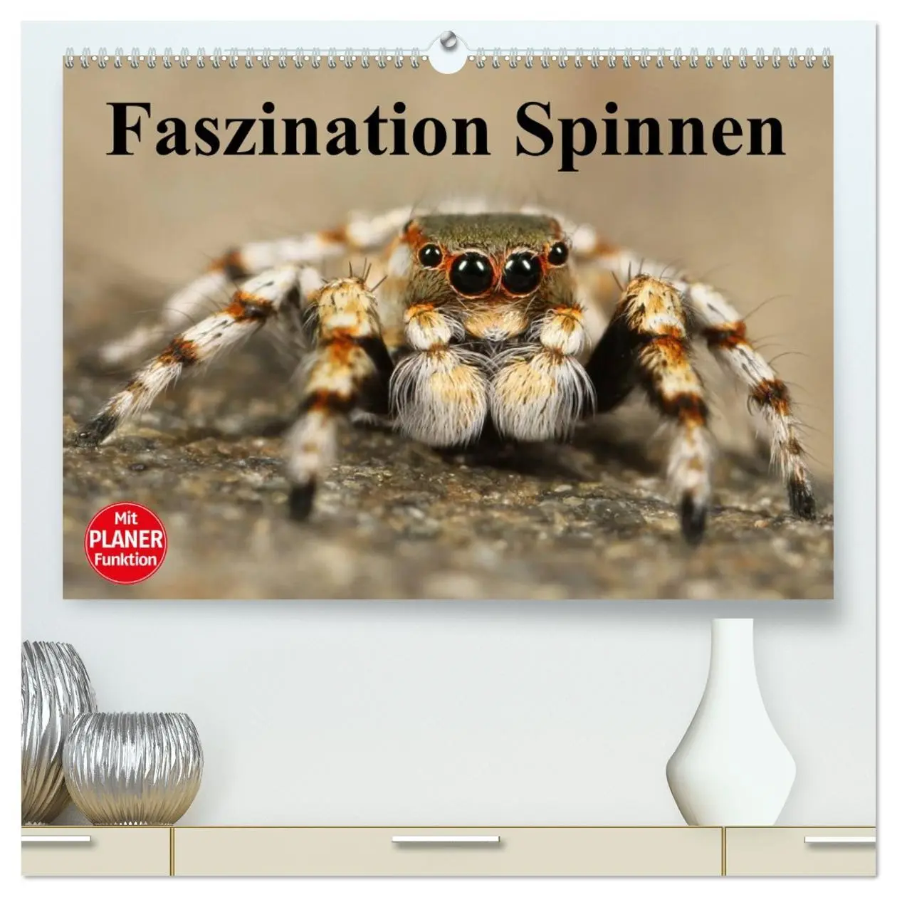 Cover: 9783457994245 | Faszination Spinnen (hochwertiger Premium Wandkalender 2026 DIN A2...