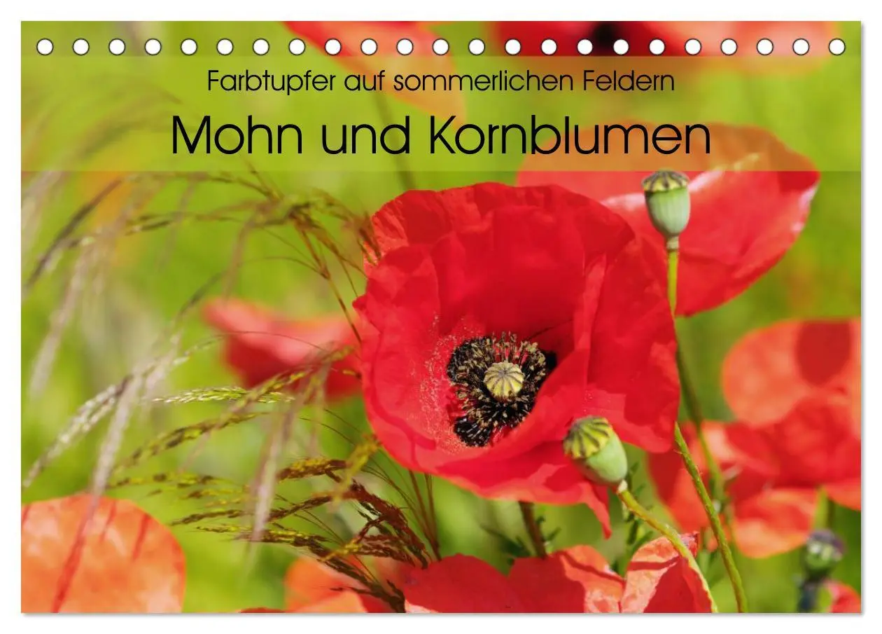Cover: 9783516084245 | Farbtupfer auf sommerlichen Feldern - Mohn und Kornblumen...