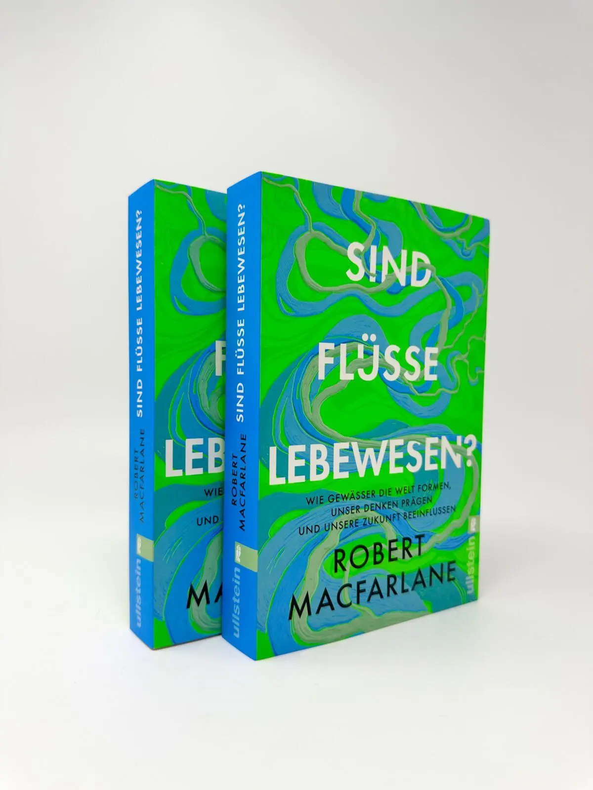 Bild: 9783548074245 | Sind Flüsse Lebewesen? | Robert Macfarlane | Taschenbuch | 416 S.
