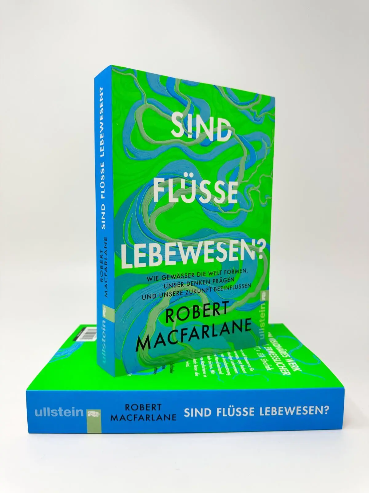 Bild: 9783548074245 | Sind Flüsse Lebewesen? | Robert Macfarlane | Taschenbuch | 416 S.