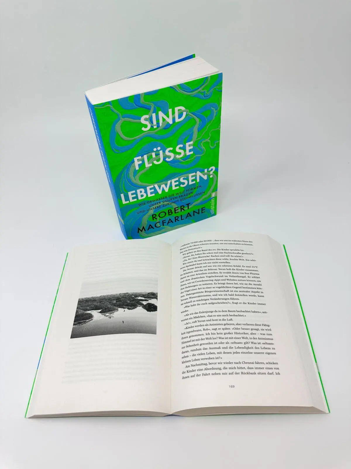 Bild: 9783548074245 | Sind Flüsse Lebewesen? | Robert Macfarlane | Taschenbuch | 416 S.