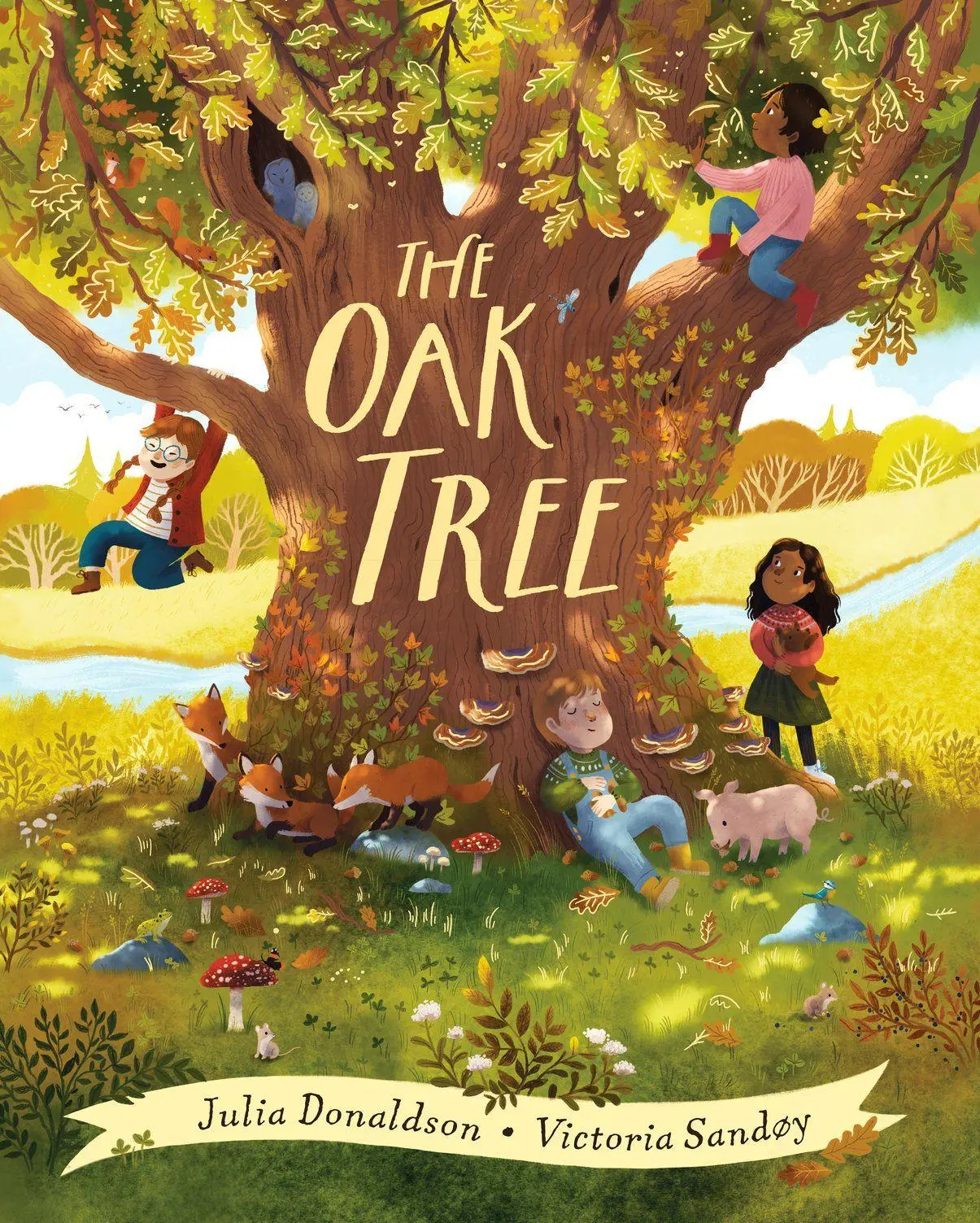 Cover: 9780702324345 | The Oak Tree | Julia Donaldson | Buch | 32 S. | Englisch | 2023