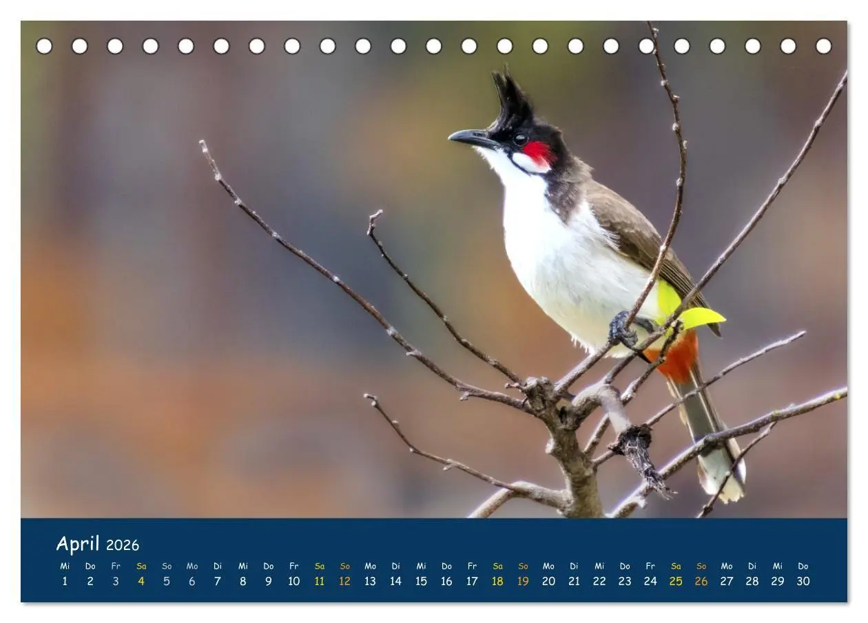 Bild: 9783516694345 | Faszinierende Tierwelt von Mauritius - Magische Momente der Natur...