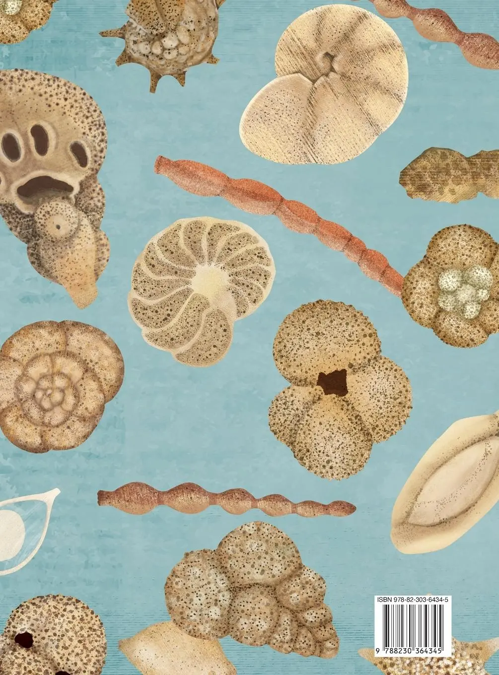 Rückseite: 9788230364345 | Little Creatures of the Sea - Book about Foraminifera | Buch | 2025