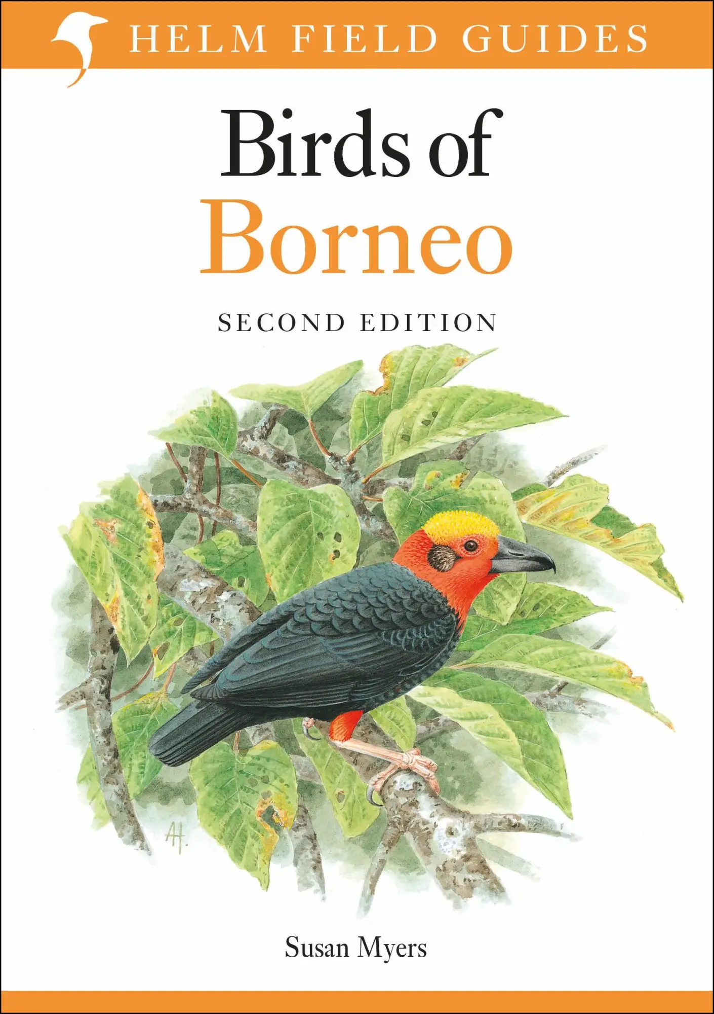 Cover: 9781472924445 | Field Guide to the Birds of Borneo | Susan Myers | Taschenbuch | 2025