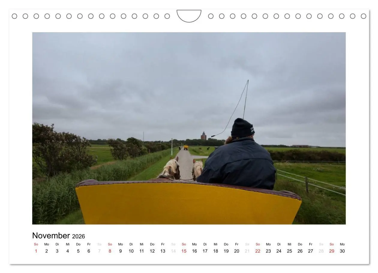 Bild: 9783516134445 | Die schöne Insel Neuwerk (Wandkalender 2026 DIN A4 quer), CALVENDO...