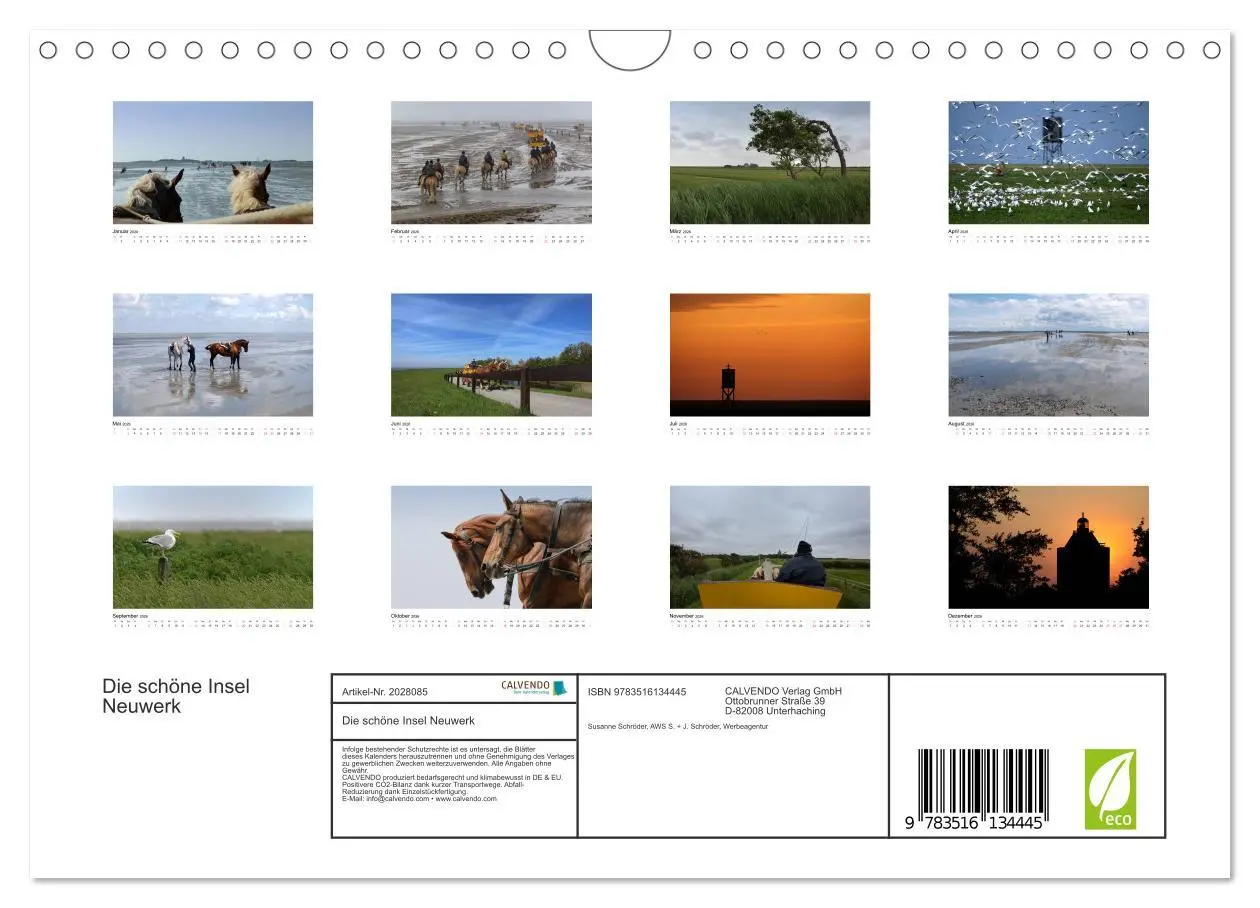 Bild: 9783516134445 | Die schöne Insel Neuwerk (Wandkalender 2026 DIN A4 quer), CALVENDO...