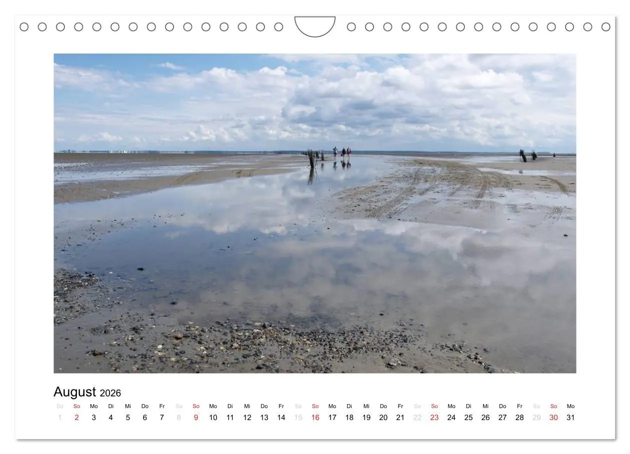 Bild: 9783516134445 | Die schöne Insel Neuwerk (Wandkalender 2026 DIN A4 quer), CALVENDO...