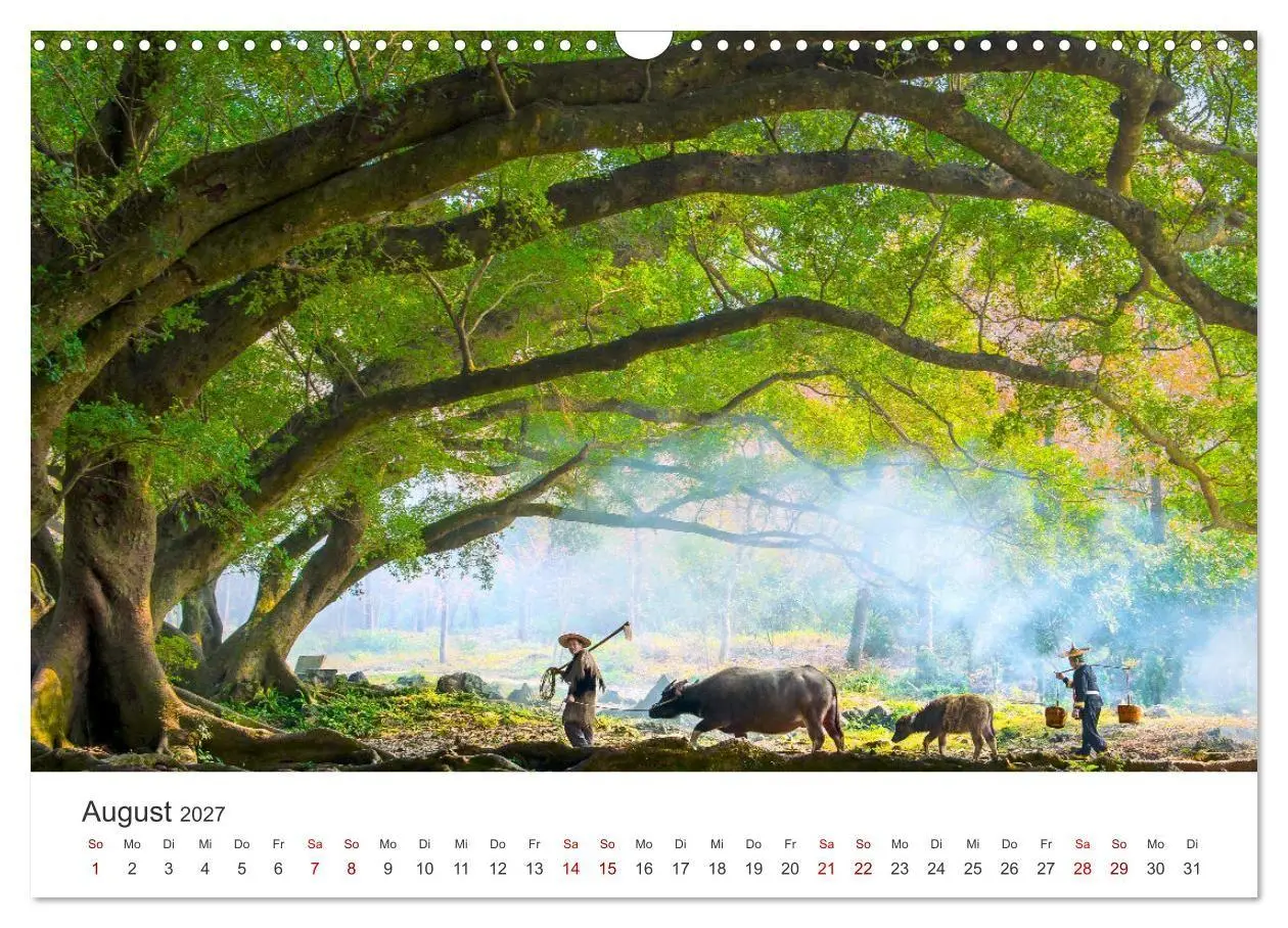 Bild: 9783569464445 | China - Tradition trifft Moderne. (Wandkalender 2027 DIN A3 quer),...