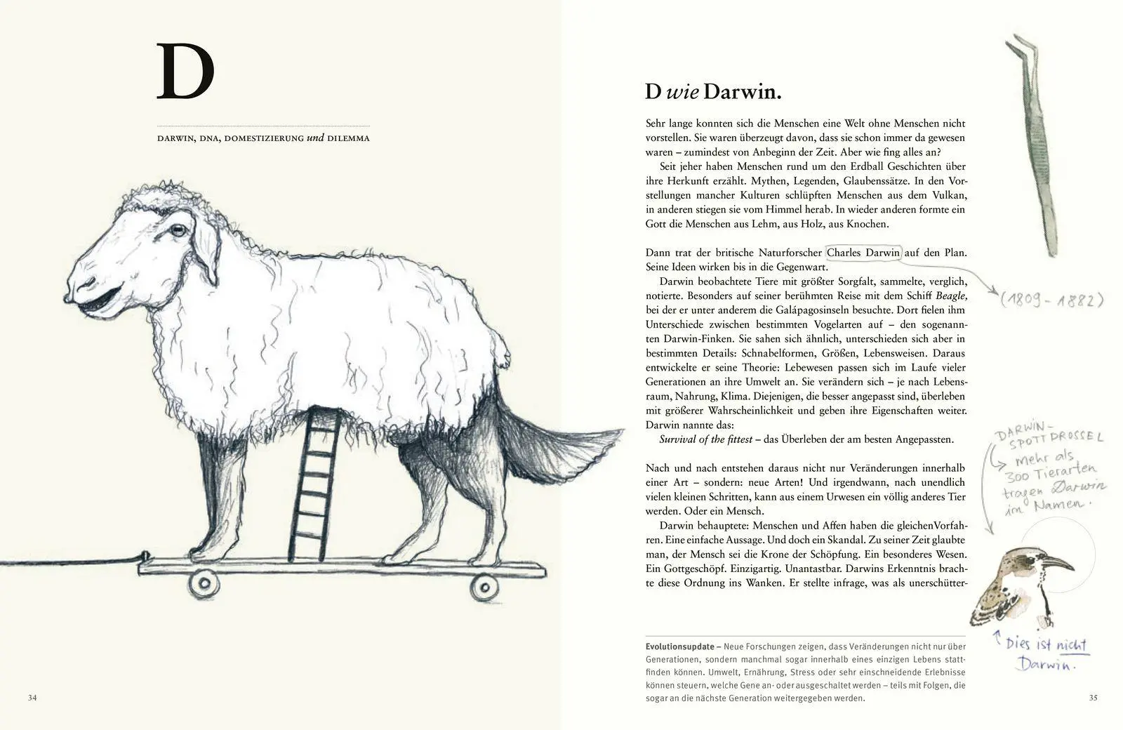 Bild: 9783737374545 | Du Tier, ich Mensch? | Anke Bär | Buch | 208 S. | Deutsch | 2026