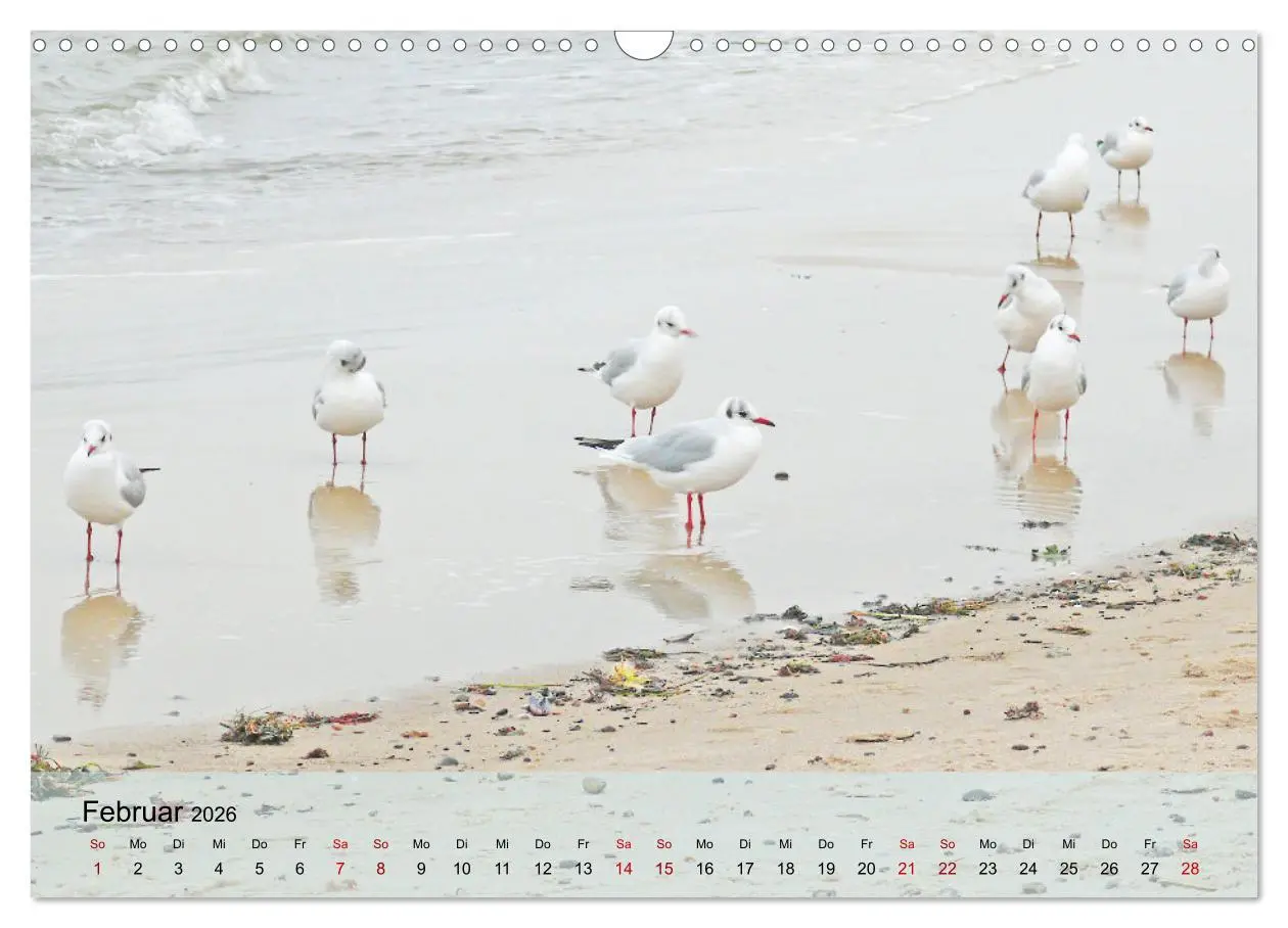 Bild: 9783457574645 | Ostseebad Kühlungsborn. Erholung mit allen Sinnen (Wandkalender...