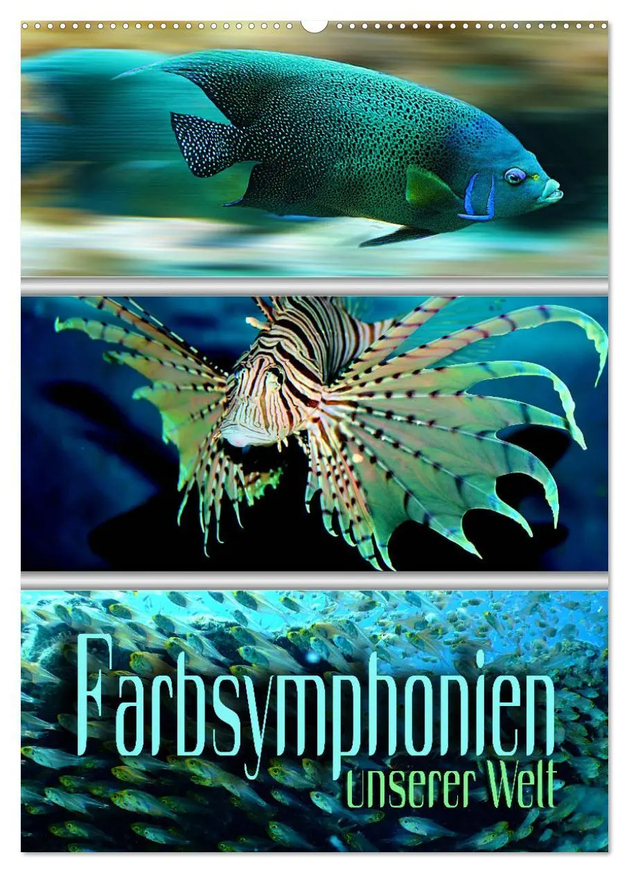 Cover: 9783516354645 | Farbsymphonien unserer Welt (Wandkalender 2026 DIN A2 hoch),...