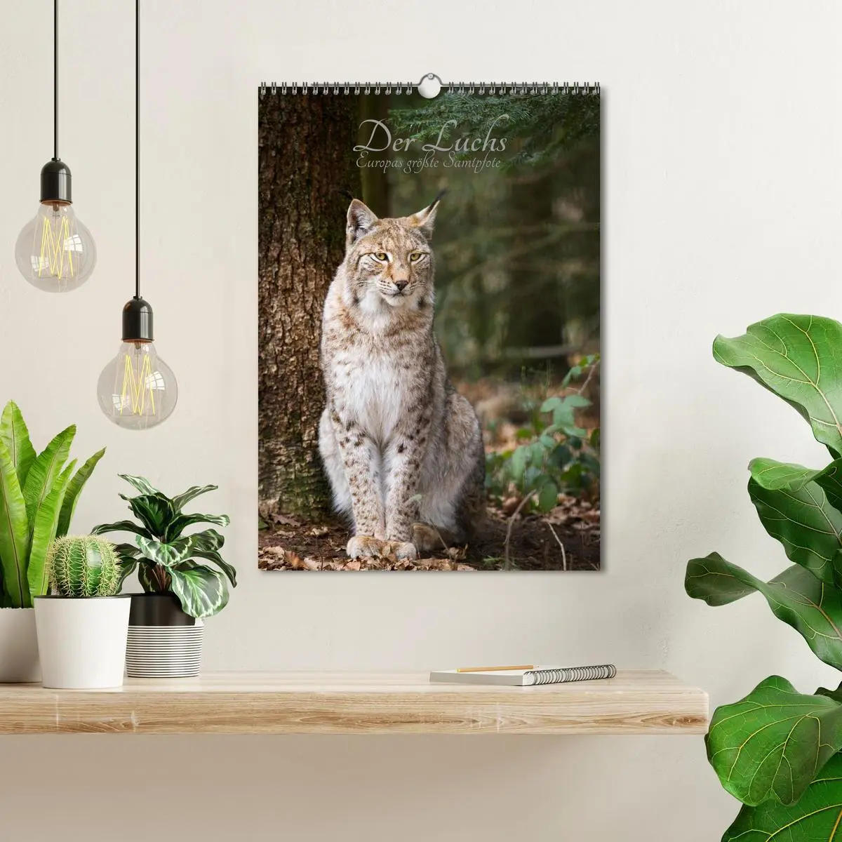 Bild: 9783516424645 | Der Luchs - Europas größte Samtpfote (Wandkalender 2026 DIN A3...
