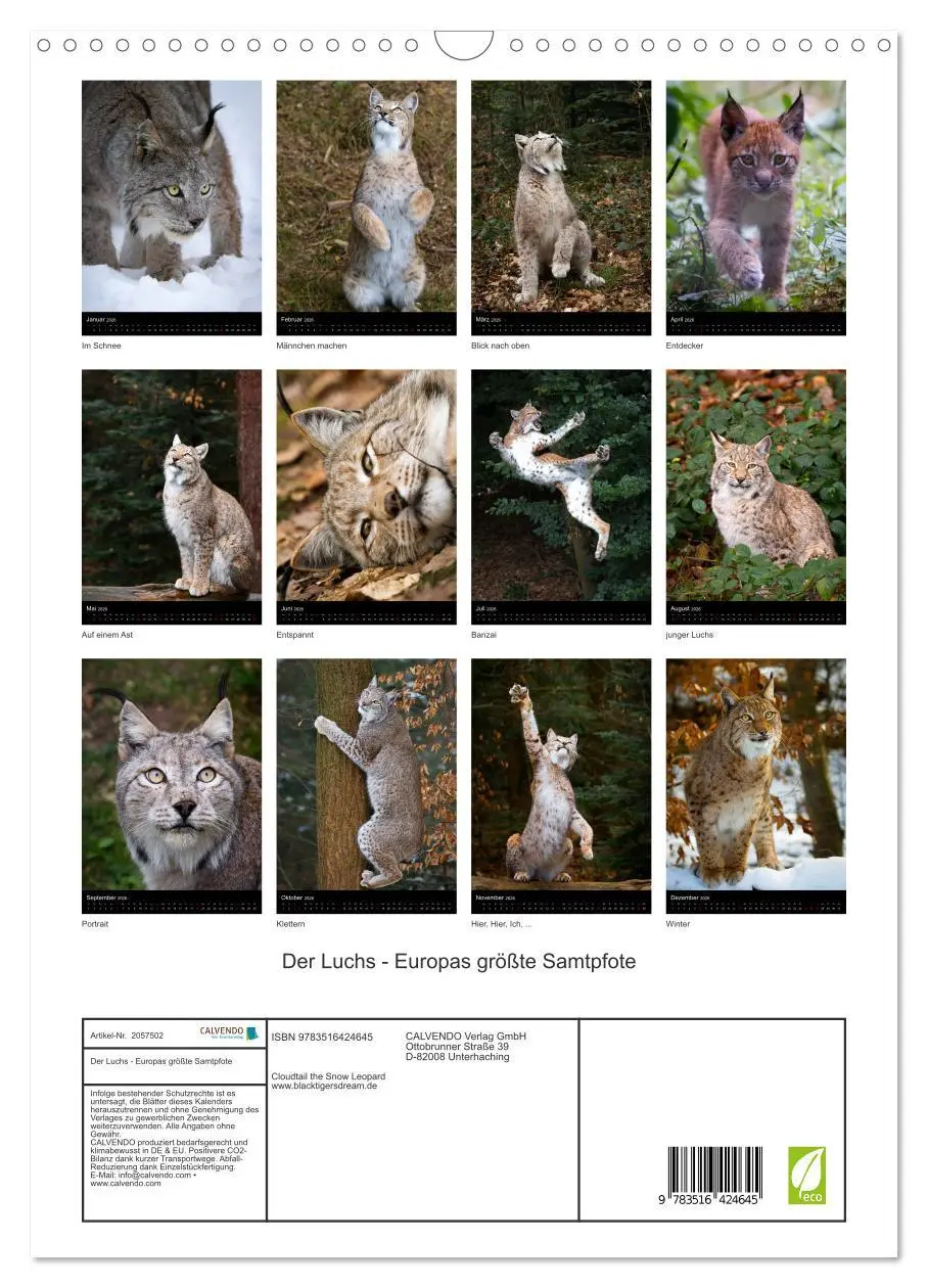 Bild: 9783516424645 | Der Luchs - Europas größte Samtpfote (Wandkalender 2026 DIN A3...