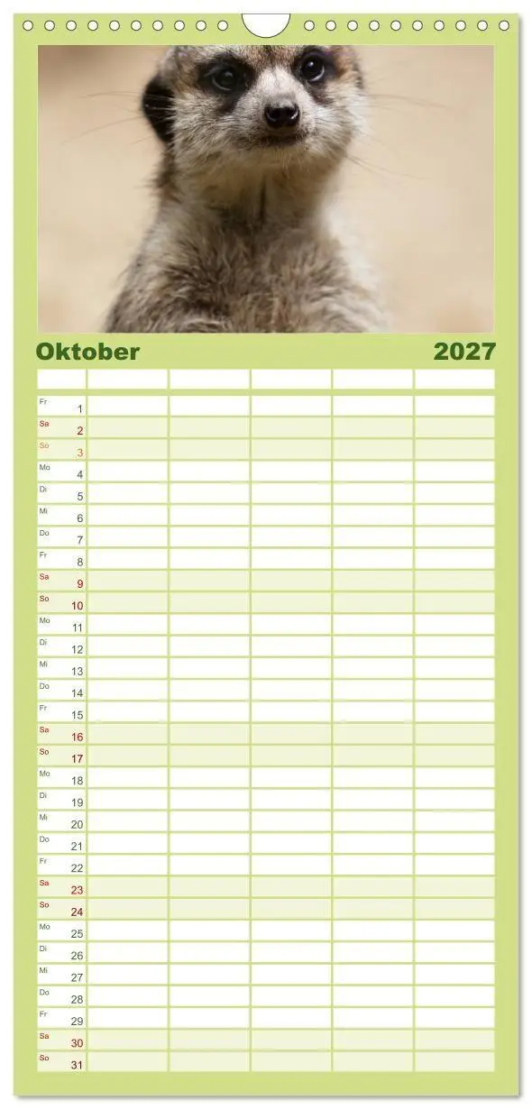 Bild: 9783594334645 | Familienplaner 2027 - Erdmännchen mit 5 Spalten (Wandkalender, 21 x...