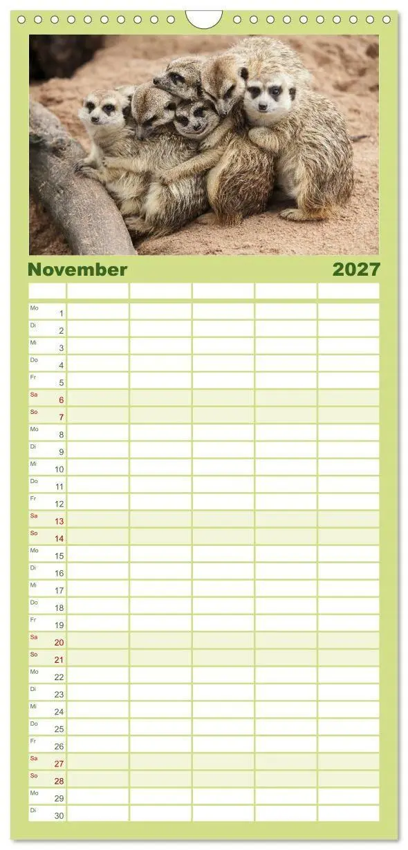 Bild: 9783594334645 | Familienplaner 2027 - Erdmännchen mit 5 Spalten (Wandkalender, 21 x...