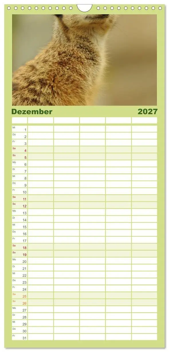 Bild: 9783594334645 | Familienplaner 2027 - Erdmännchen mit 5 Spalten (Wandkalender, 21 x...