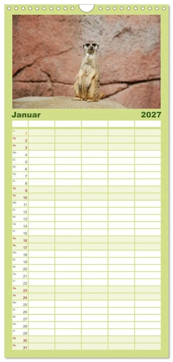 Bild: 9783594334645 | Familienplaner 2027 - Erdmännchen mit 5 Spalten (Wandkalender, 21 x...