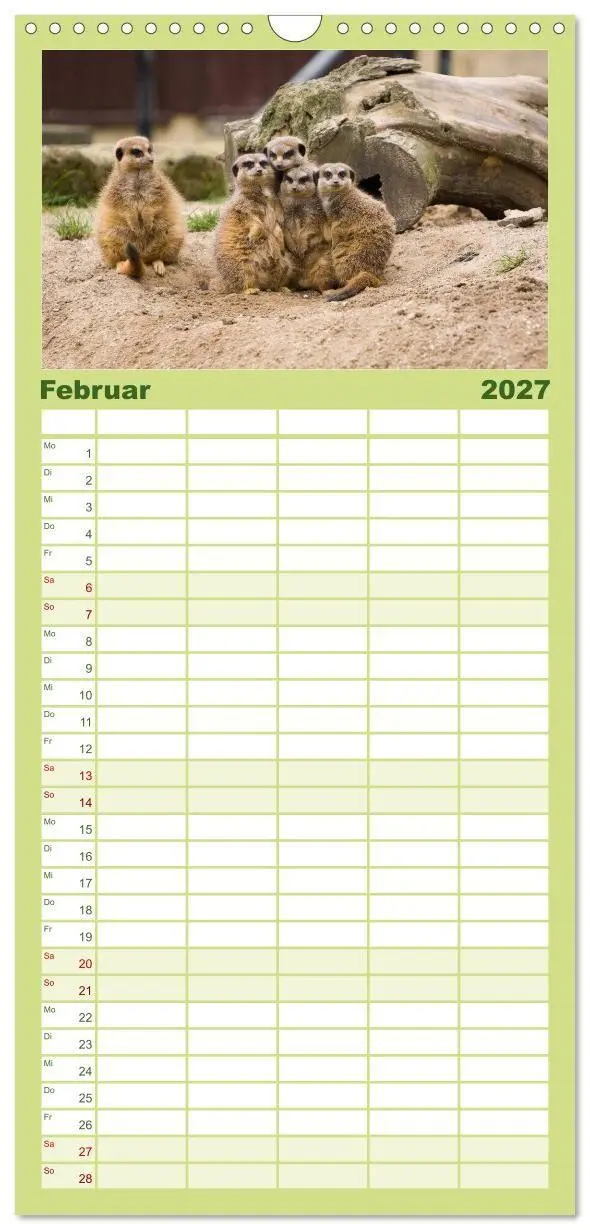 Bild: 9783594334645 | Familienplaner 2027 - Erdmännchen mit 5 Spalten (Wandkalender, 21 x...