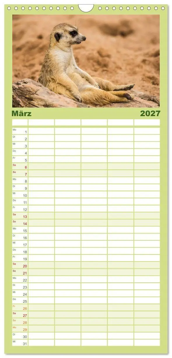 Bild: 9783594334645 | Familienplaner 2027 - Erdmännchen mit 5 Spalten (Wandkalender, 21 x...