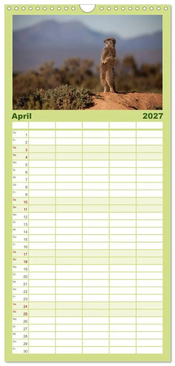 Bild: 9783594334645 | Familienplaner 2027 - Erdmännchen mit 5 Spalten (Wandkalender, 21 x...