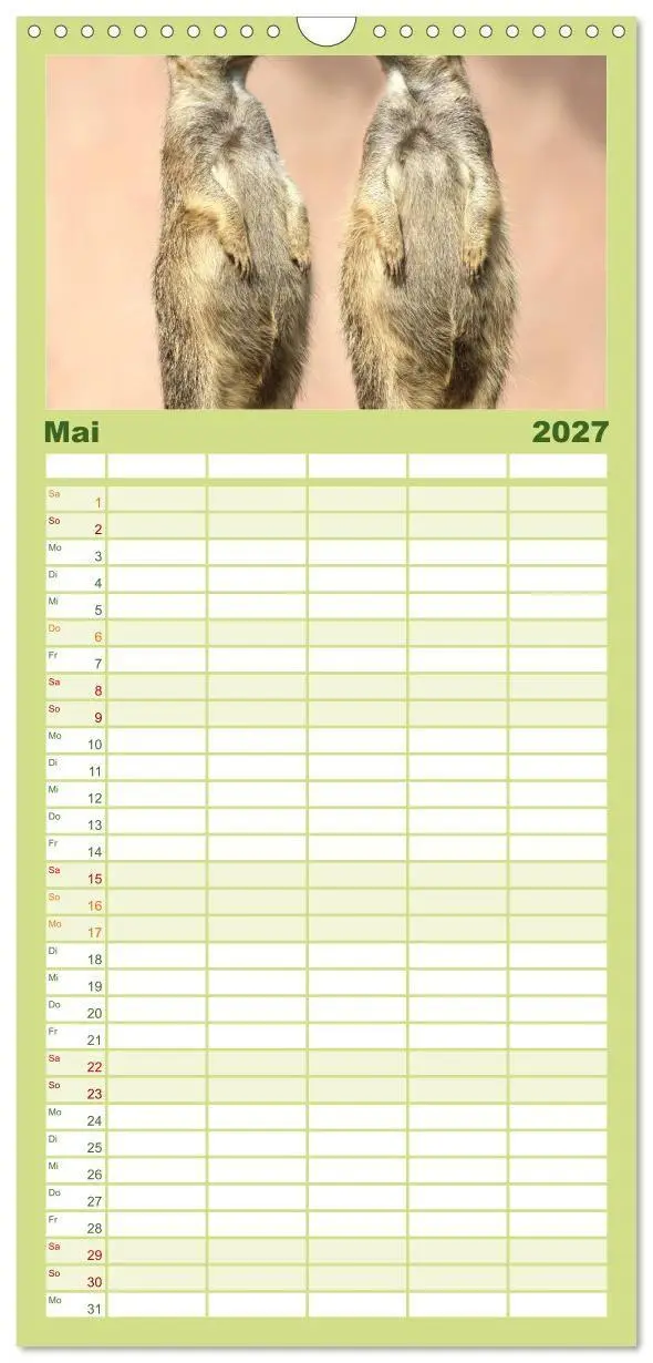 Bild: 9783594334645 | Familienplaner 2027 - Erdmännchen mit 5 Spalten (Wandkalender, 21 x...
