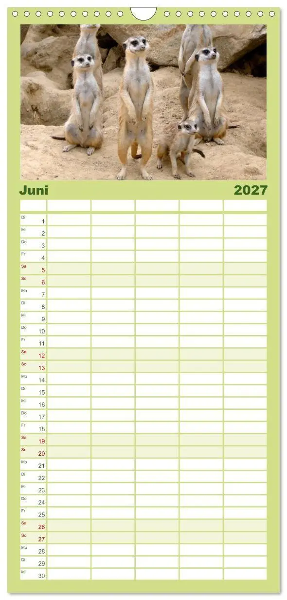 Bild: 9783594334645 | Familienplaner 2027 - Erdmännchen mit 5 Spalten (Wandkalender, 21 x...