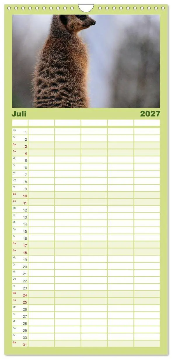 Bild: 9783594334645 | Familienplaner 2027 - Erdmännchen mit 5 Spalten (Wandkalender, 21 x...