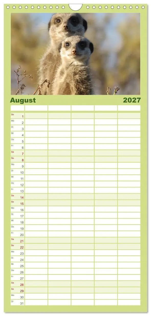 Bild: 9783594334645 | Familienplaner 2027 - Erdmännchen mit 5 Spalten (Wandkalender, 21 x...