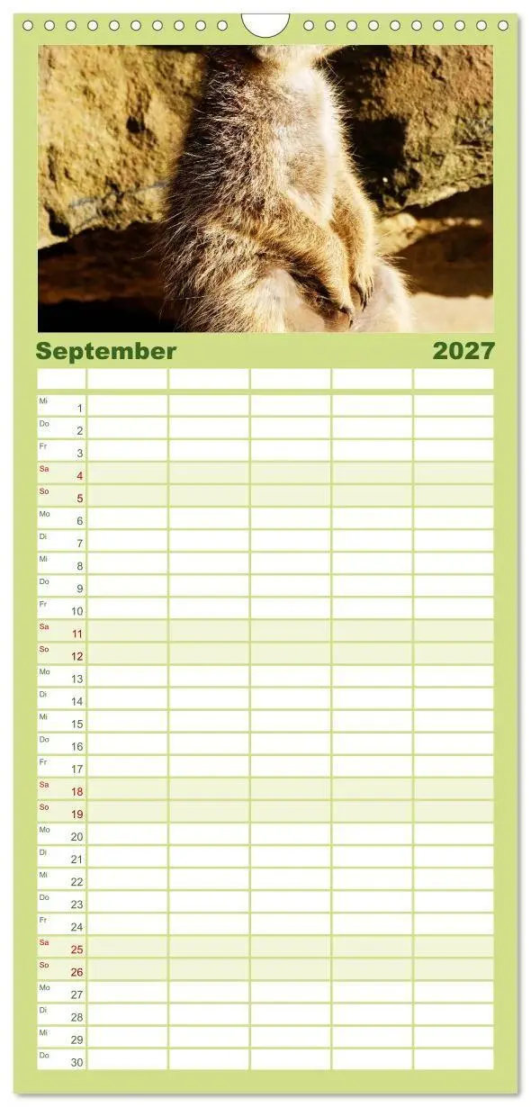 Bild: 9783594334645 | Familienplaner 2027 - Erdmännchen mit 5 Spalten (Wandkalender, 21 x...