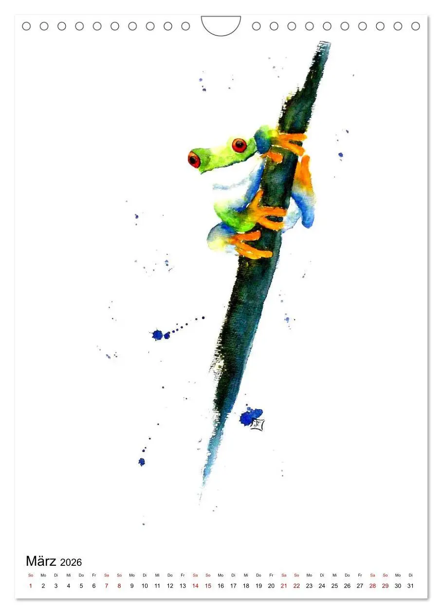 Bild: 9783516414745 | Tiere in Aquarell 2026 - von Ruth Trinczek (Wandkalender 2026 DIN...