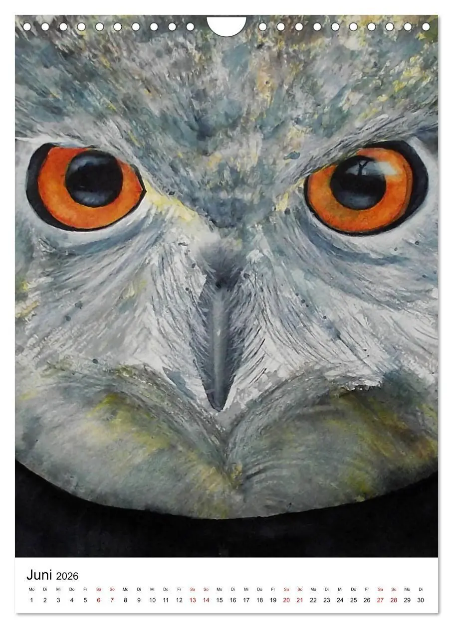Bild: 9783516414745 | Tiere in Aquarell 2026 - von Ruth Trinczek (Wandkalender 2026 DIN...
