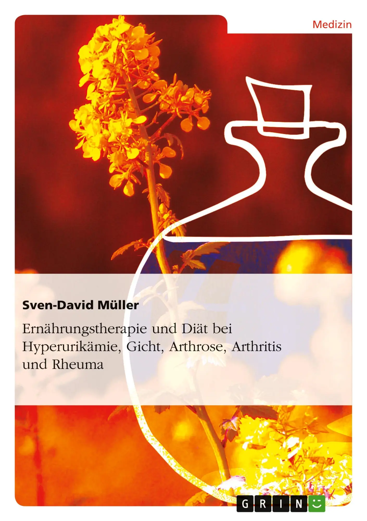 Cover: 9783656244745 | Ernährungstherapie und Diät bei Hyperurikämie, Gicht, Arthrose,...