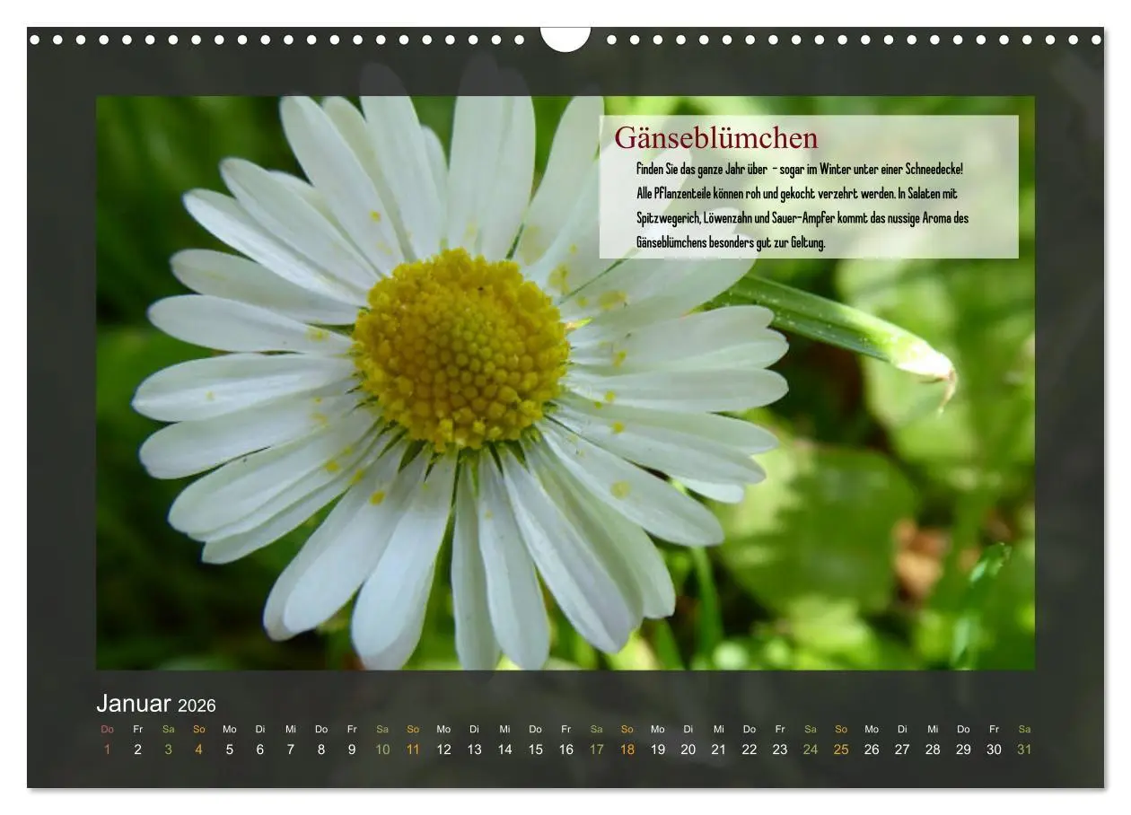 Bild: 9783457934845 | Outdoor-Survival-Kalender (Wandkalender 2026 DIN A3 quer), CALVENDO...