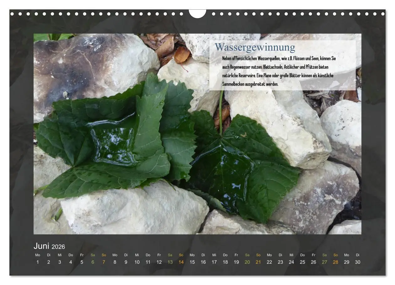 Bild: 9783457934845 | Outdoor-Survival-Kalender (Wandkalender 2026 DIN A3 quer), CALVENDO...