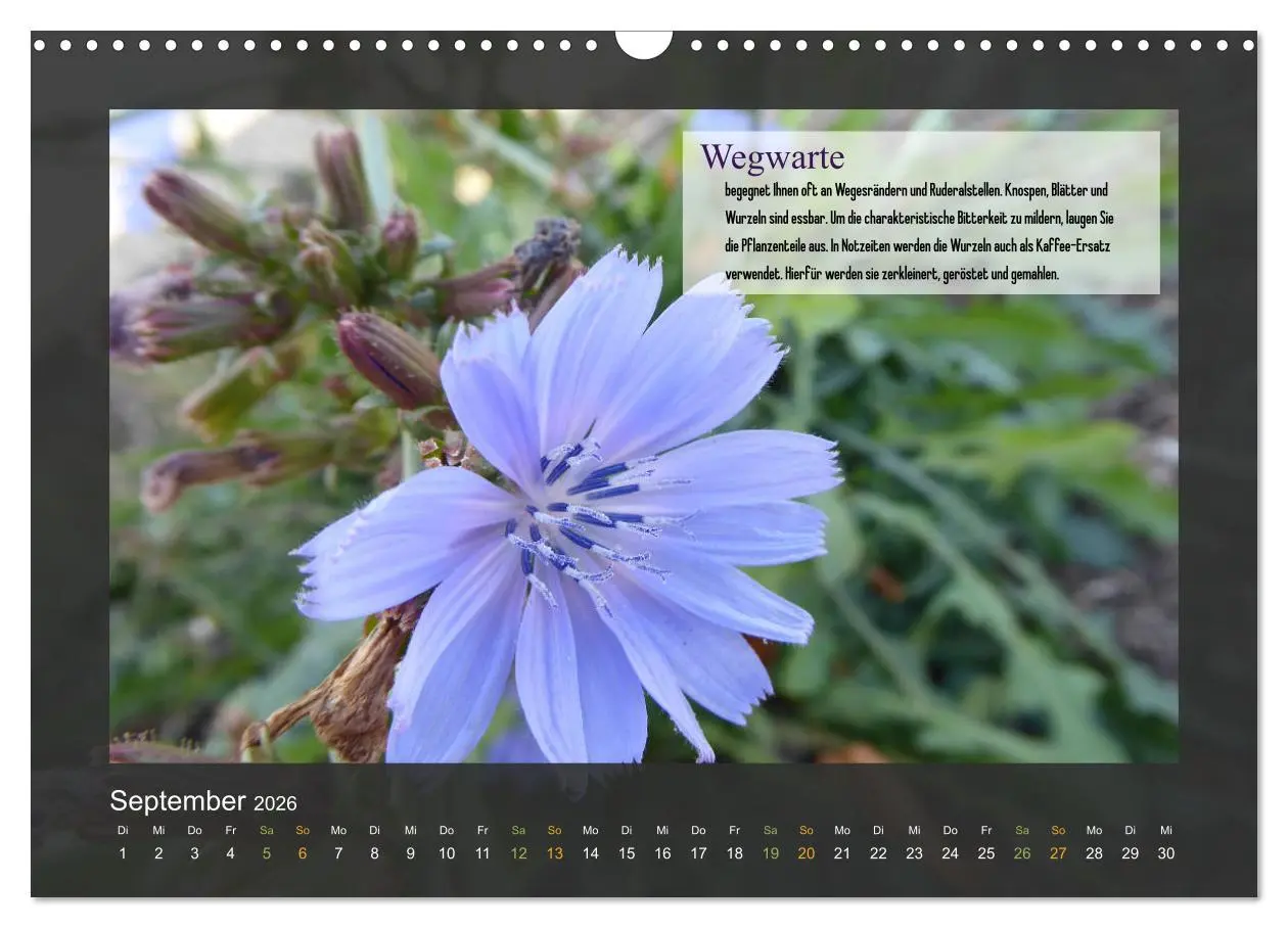 Bild: 9783457934845 | Outdoor-Survival-Kalender (Wandkalender 2026 DIN A3 quer), CALVENDO...