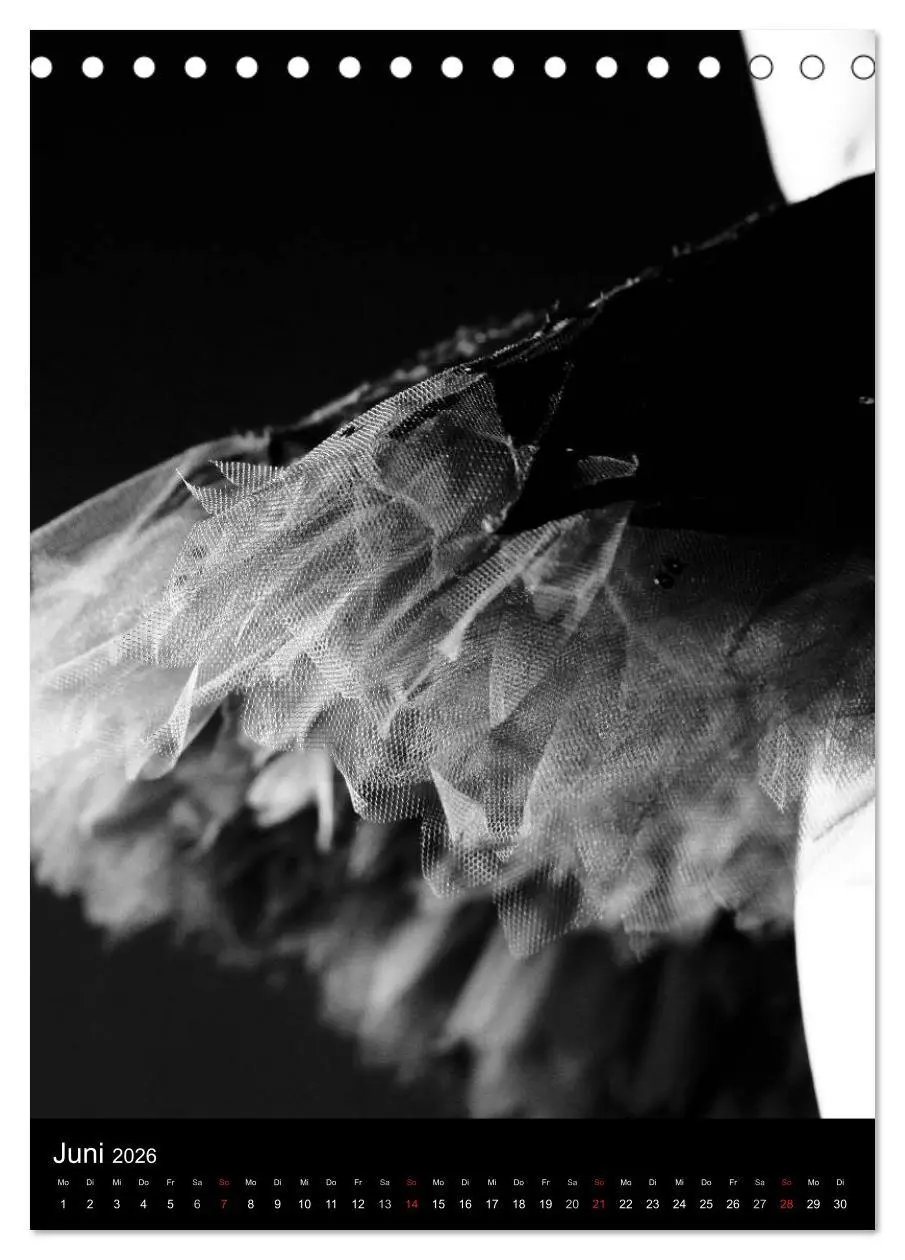 Bild: 9783516455045 | Ballett in Schwarzweiss (Tischkalender 2026 DIN A5 hoch), CALVENDO...