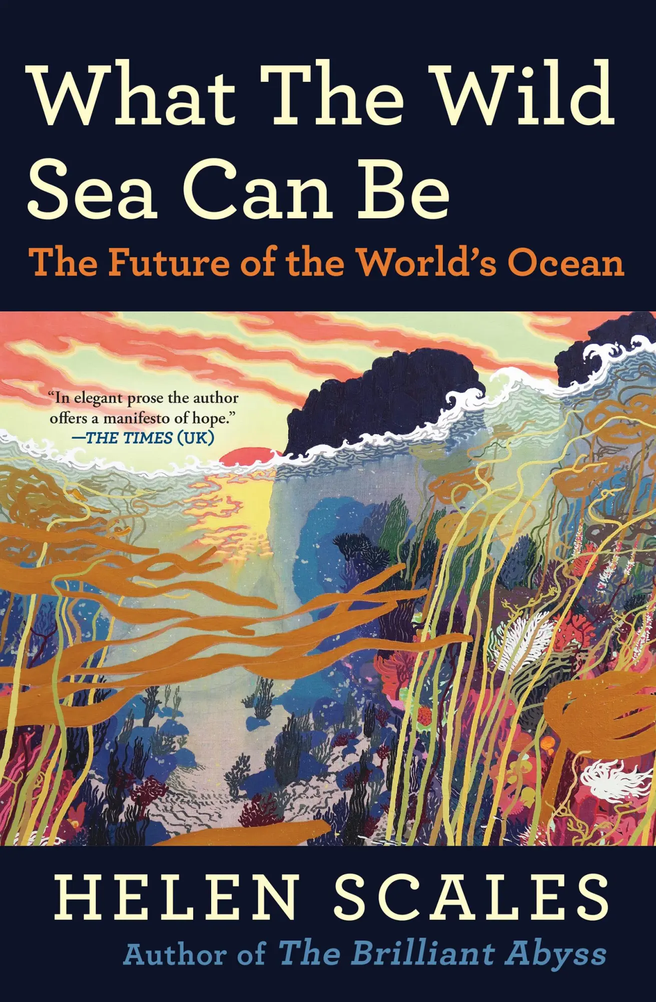 Cover: 9780802165145 | What the Wild Sea Can Be | The Future of the World's Ocean | Scales