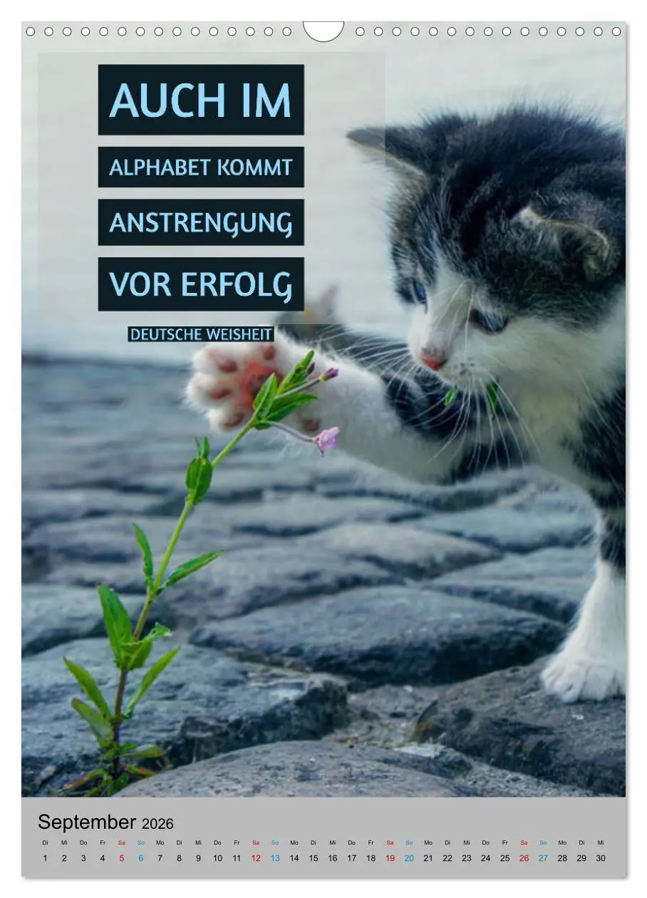 Bild: 9783516375145 | Aktiviere Deine Motivation Weisheiten und Sprüche (Wandkalender...