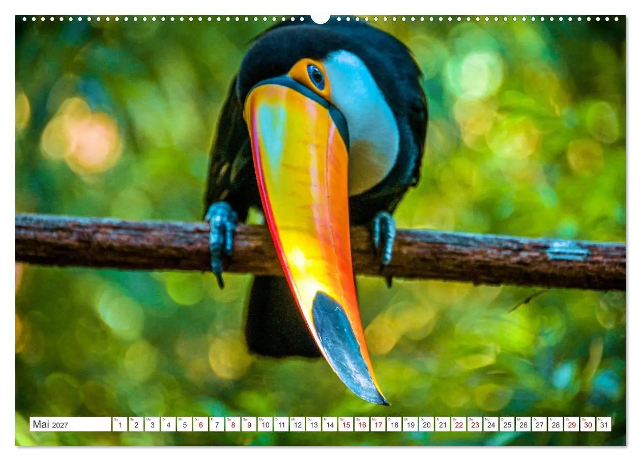 Bild: 9783569535145 | Bilder aus Brasilien (Wandkalender 2027 DIN A2 quer), CALVENDO...