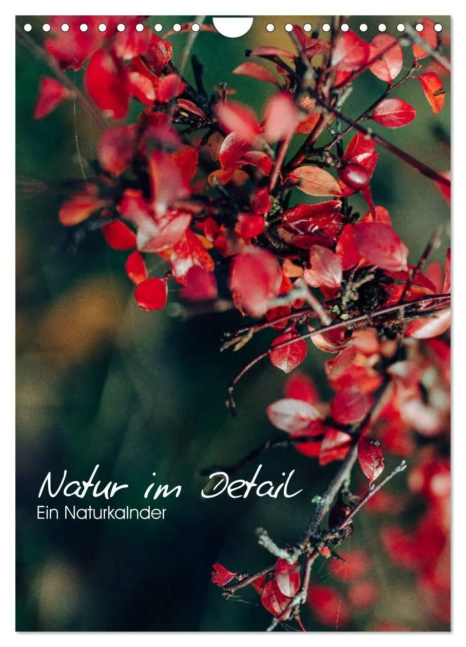 Cover: 9783569605145 | Kalender - Natur im Detail (Wandkalender 2027 DIN A4 hoch),...