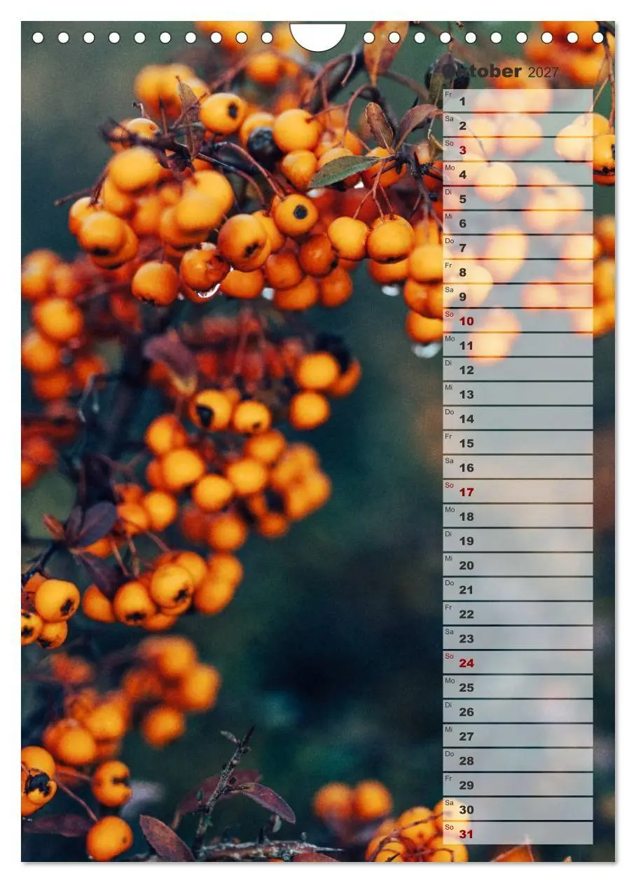 Bild: 9783569605145 | Kalender - Natur im Detail (Wandkalender 2027 DIN A4 hoch),...