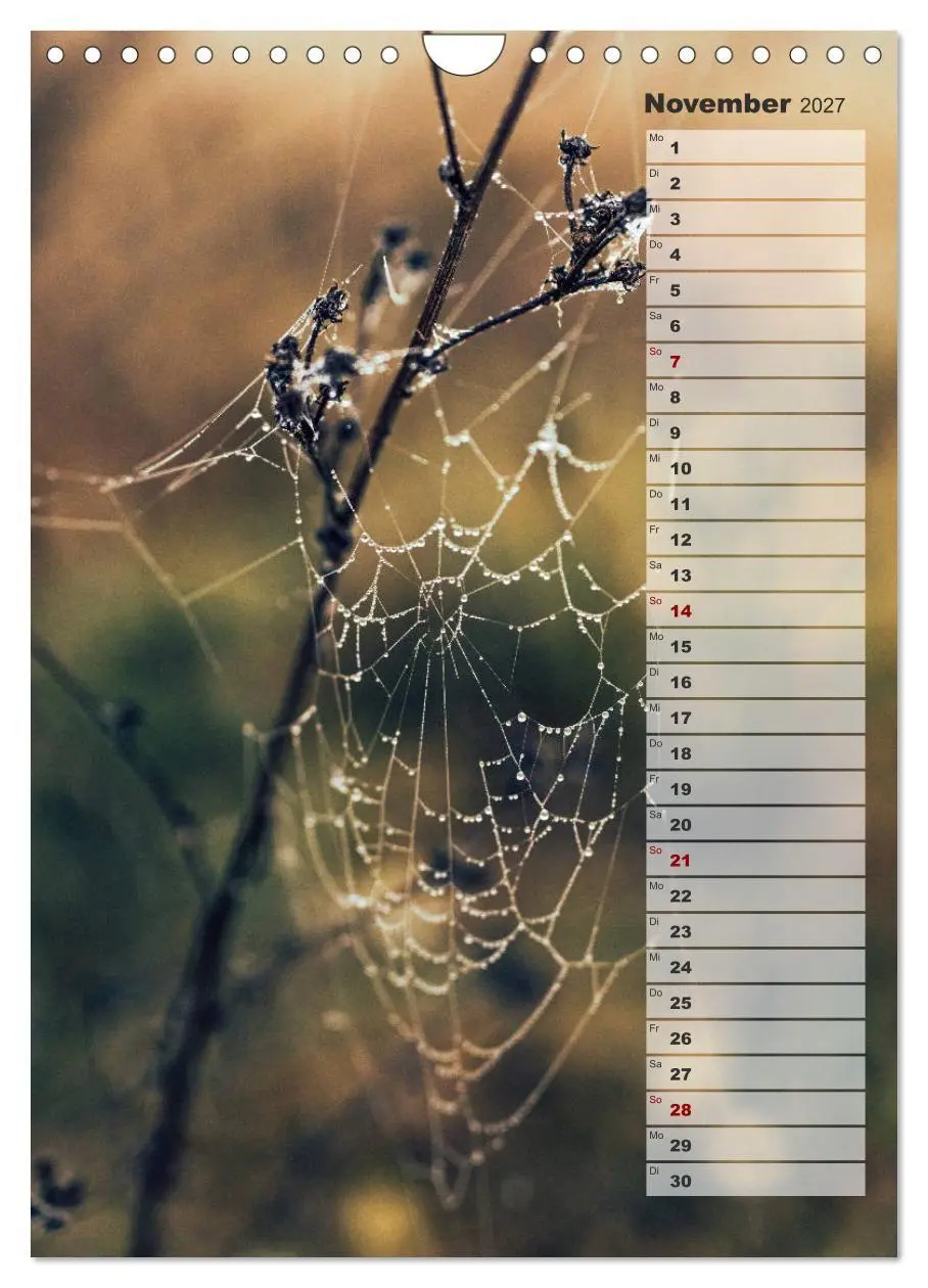 Bild: 9783569605145 | Kalender - Natur im Detail (Wandkalender 2027 DIN A4 hoch),...